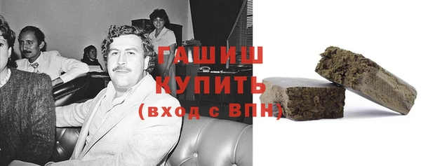 индика Гусиноозёрск