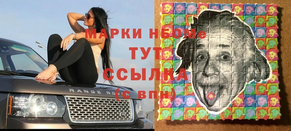 индика Гусиноозёрск