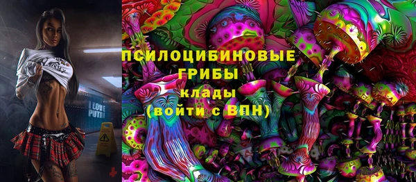 PSILOCYBIN Горнозаводск