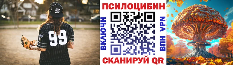 как найти закладки  Жердевка  KRAKEN tor  Галлюциногенные грибы прущие грибы 